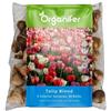 Organifer 50 Bulbi Di Tulipano - Bulbi Di Fiori XXL Misura 12cm | 5 Varietà Di Colori - Fiore Di Tulipano - Bulbi Di Tulipano - Mix Di Bulbi Di Fiori Biologici - /+ - Organifer
