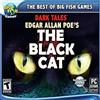 Big Fish Games DARK TALES: THE BLACK CAT