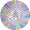 Aokbean 50 Pezzi 13cm Nappine Sfumate Colorate per Segnalibri-Misto 1 | Nappe Decorative per Ventagli,Segnalibro,Orecchini,Portachiavi,Laurea e Decorazioni,la Creazione di Gioielli