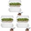 Browin® Contenitore per germogli per la coltivazione di germogli 745748 | germogli con coperchio e ciotola | germinatore per semi di crescione, germogli di erba e semi di rucola | con semi di