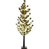 NEW BI SRL Albero di Natale Pino Innevato 160 cm, 272 LED, PVC, Albero Luminoso, Allestimento Natalizio