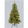 LOTTI IMPORTEX SRL Abete Slim di Natale Prelit H150cm, PVC+PE Verde, 200 LED Bianco Caldo, 575 Punte, Giochi di Luce