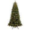 FLORA SRL Albero di Natale Parco 210 cm, Ø106 cm, PE e PVC, 3200 LED, Albero Natalizio Luminoso, Allestimento Natalizio