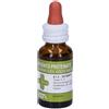Zeta Farmaceutici ARGENTO PROTEINATO (ZETA FARMACEUTICI) BB gocce orali 10 ml 0,5%