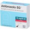EG EuroGenerici AMBROXOLO (EG) soluzione nebulizzata 10 fiale 15 mg 2 ml