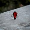 Splendido Mozambico Granato Gemma 925 Argento Handmade Anello Tutte le Misure