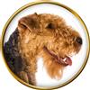 Gallese Cane Terrier Distintivo di Lapel Pin