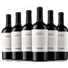 Cincinnato Castore Bellone 2025 Lazio Igt 75 cl 6 Bottiglie