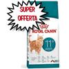 ROYAL CANIN GATTO SENIOR AGEING + 11 4 KG