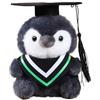 Generisch Peluche a forma di pinguino con cappello da dottore, regalo di laurea 2026, con sciarpa colorata, 16 cm, per Bachelor Master (verde)
