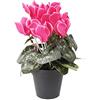 FloristryWarehouse Cespuglio di ciclamino in finta seta rosa in vaso, altezza 25 cm