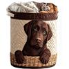Generic Cesto portabiancheria vintage con cane Labrador color cioccolato trapuntato pieghevole in tessuto con manici per il trasporto (CM19366A01)