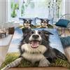 ZHUICHENG Carino il cane Border Collie 3 Pezzi Copripiumino Motivo Per Bambini Adulto Set Biancheria Singolo,Matrimoniale Copripiumino,Anti-acaro Con Chiusura A Cerniera Facile Da Pulire doppio（200x200cm）