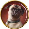 Cane Carlino Da Carl Reichert Distintivo di Lapel Pin