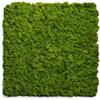 Divina Home Rivestimento murale fonoassorbente divina home in muschio sintetico verde 60x2,1x60 cm 2 pezzi