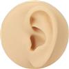 Fyearfly Modello di Orecchio Umano in Silicone, Modello di Orecchio di Simulazione Riutilizzabile Comodo per la Visualizzazione di Orecchini per l'insegnamento del Piercing all'Orecchio di Simulazione per