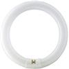 Gialtek Neon Ricambio per Zanzariera Neon 32W Trappen Tiger