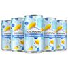 Galvanina Tonica Classica Biologica Galvanina | Lattina da 150ml | pacco da 24 lattine | per un gin tonic Perfect Service
