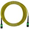 BlueOptics Cavo trunk in fibra ottica MPO BlueOptics, monomodale, 12 fibre, 1 metro, tipo B