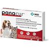 Msd Animal Health PANACUR 10 compresse 250 mg cani/gatti