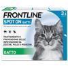 BOEHRINGER ING.ANIM.H.IT.SpA Frontline Spot On Gatti x3 Pipette, Antiparassitario per Gatti e Gattini, Contro Zecche, Pulci e Pidocchi