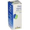 BOIRON Srl Boiron Ribes Nigrum Gemme Macerato Glicerico 60 ml