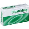 Farma-Derma Cicatridina Supposte 10 Pezzi