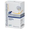 Drn Enteromicro Complex 32 Compresse