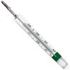 Pic Solution Termometro Gallio Vedoeco Plus