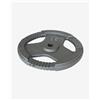 Softee Disco di ferro con presa Softee 15 kg grigio