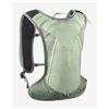 Salomon Zaino Salomon Cross 4L verde chiaro
