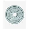 Trendingfit Disco di ferro Trendingfit Standard 10 kg grigio