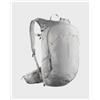 Salomon Zaino Salomon Trailblazer 20L grigio argento