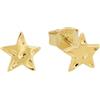 AMOR - Orecchini da Donna in Argento 925 - Placcato Oro/Dorato - Orecchino a Perno a Stella - AMR-E0182