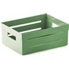 Snips Cassetta Multiuso, Organizer Multiuso, Contenitore Multiuso 2 LT, Colore Verde, 20 x 15 x 8,5 cm, Made in Italy