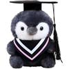 Generisch Pinguino in peluche con cappello da dottore, regalo di laurea 2026, con sciarpa colorata, 16 cm, per Bachelor Master (rosa)