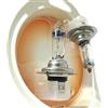 CARALL 2 Pezzi Lampade Alogene 12V Bianche ad Effetto Xenon (H7 12V 55W PX26d +50% Luminosita)