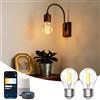 Aigostar Lampadine Alexa, Lampadine Led E27 Vintage, G45 Transparente Lampadine Filamento a Globo, 4.5W, 470LM, Bianco Caldo Dimmerabile 2700K - 6500K, Compatibile con Alexa e Google Home, 2 Unità