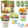 PYEF CRAFTS Kit Giardinaggio Bambini Laboratorio dei Fiori - Kit Piante Bambini Gioco Crea Fiori - Flower Gioco & Orto in Serra Fanciullo - Set Creativi Orto in Casa - Set Pittura e Coltivazione