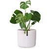 Fox & Fern Fox&Fern - Vaso da fiori L con struttura a linee, 27 cm, con scarico dell'acqua per piante da esterno e interno, adatto per fioriera Fox &Fern L (30 cm di diametro), colore: Bianco