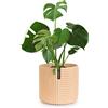 Fox & Fern Fox&Fern - Vaso da fiori L con struttura a linee, 27 cm, con scarico dell'acqua per piante da esterno e interno, adatto per fioriera Fox &Fern L (30 cm di diametro), colore: sabbia