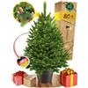 ArtiTree Albero di Natale in Vaso con Illuminazione LED, Verde, 80 cm | Compatto e realistico, con aghi 3D in 100% PE e LED bianco caldo sostituibili. Già stabile nel vaso, ideale per interni