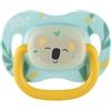 Canpol babies Ciuccio in silicone simmetrico esotico, silicone sicuro, gomma a forma simmetrica, impugnatura comoda, elementi luminosi al buio (koala, 6-18 m)