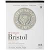 Strathmore, 580-62 500 Series Bristol, blocco carta con superficie pergamena a 2 strati, 28 cm x 35,6 cm, bianco, 15 fogli