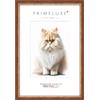 PrimeLuxe Cornice portafoto in legno massiccio, realizzata su misura, 80 x 100 cm, in rosso oro, dimensioni a scelta, con vetro acrilico antiriflesso, cornice per poster, puzzle, collage fotografico