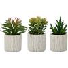 HOFMEFY Piccole piante finte con venature del legno, vasi di cemento, decorazione per il bagno, centrotavola realistici per la decorazione della tavola, mensole, piante grasse finte, set di 3