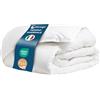 DOLCI SOGNI - Piumino letto queen-size 200x200 invernale, piuma d'oca naturale certificata - piumone una piazza e mezza, piumino una piazza e mezza 200x200 - Made in Italy in cotone percalle 250TC