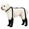 JINGLING Stivaletti per Cani Proteggi Zampe Antiscivolo Impermeabili Regolabili | Stivaletti Estivi Con Bretelle Per Cani Cani Piccoli Grandi Anziani Trekking Passeggiate Inverno
