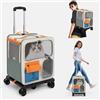 WOLEGM Zaino per animali domestici 2 in 1, con ruote, traspirante, per cani e gatti, con trolley trasparente, in tessuto Oxford con manico telescopico, fino a 12,5 kg