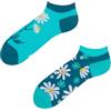 Dedoles calzini divertenti Unisex Donna e Uomo Bambini Cotone Design buffi | traspirante, ipoallergenico, Bambù, regalo natale, motivi colorati, calzini divertenti, gatti, avocado unicorno, cotone